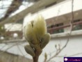/album/macro/dsc007911111-jpg/